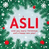 Merry Christmas and Happy New Year Wishes from AI SI LI